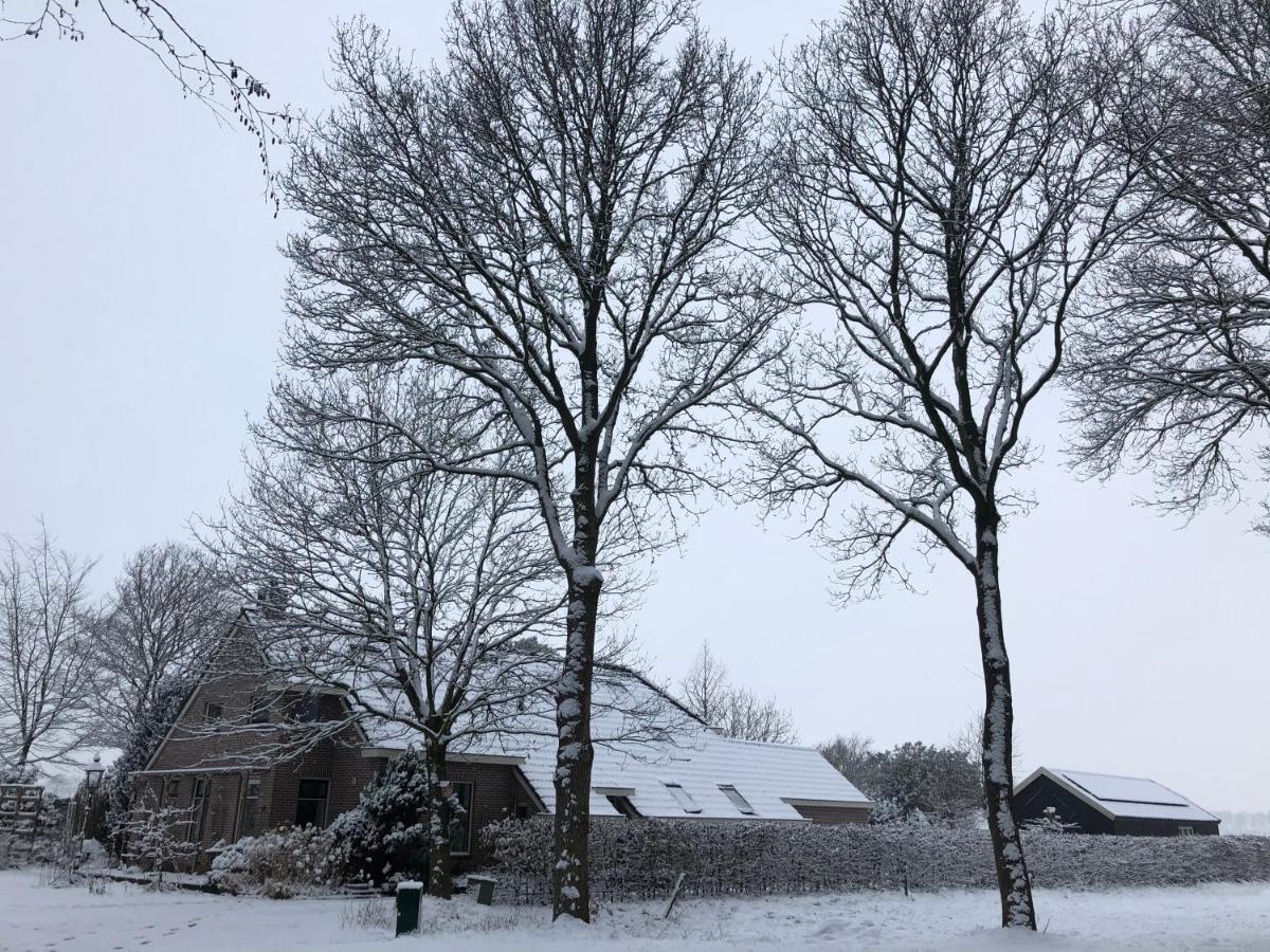 Bed & Breakfast Ter Borg Sellingen Bagian luar foto